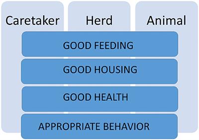 The First Protocol for Assessing Welfare of Camels